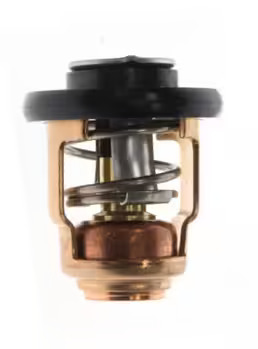 Termostat Honda 19300-ZY6-003 (≈50�C)